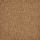 Stanton Carpet: Tobago Burnt Umber